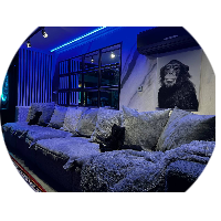 ShelterApartaments